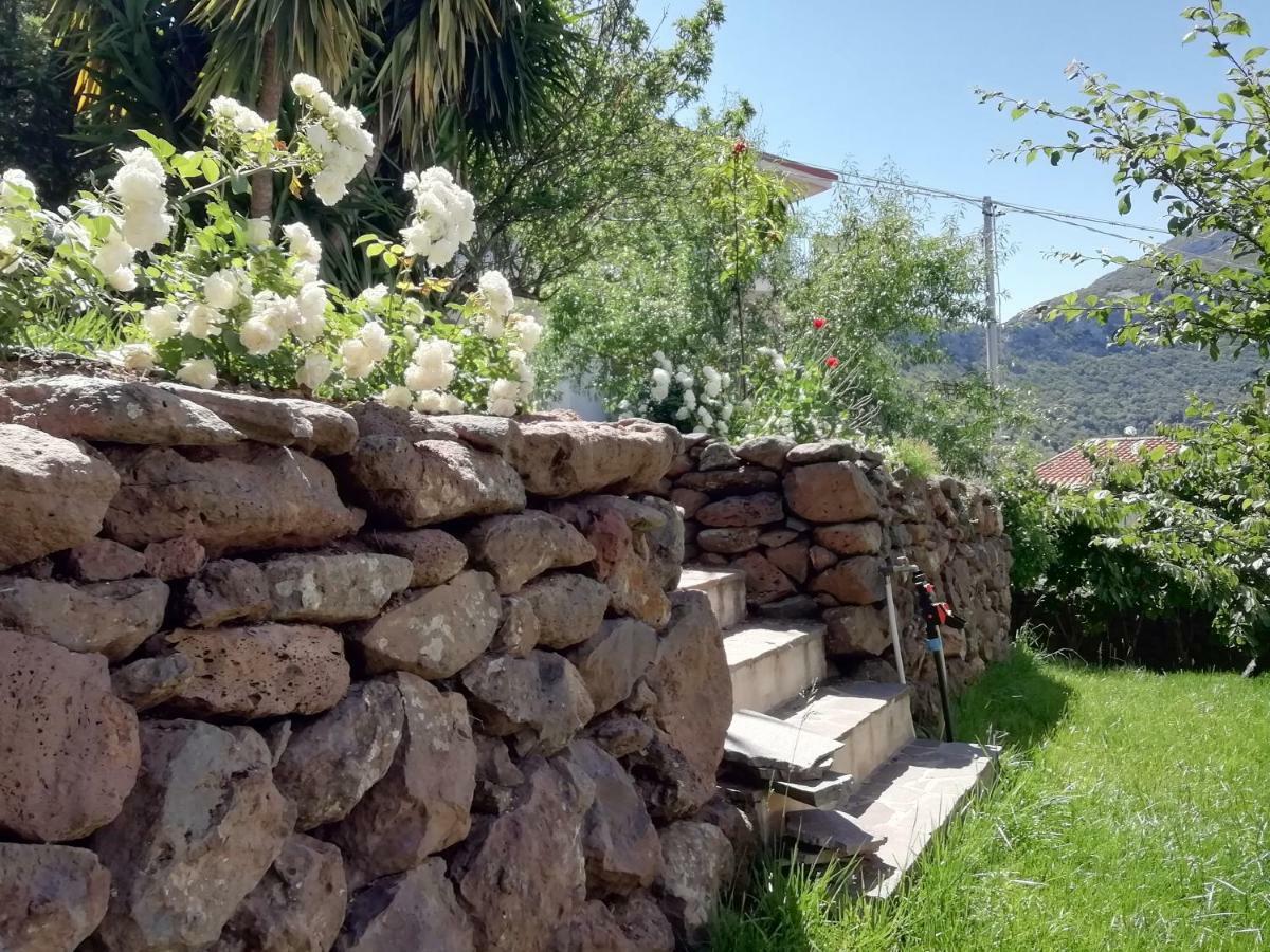 Casa Vacanze Villa Rosetta Dorgali Bagian luar foto