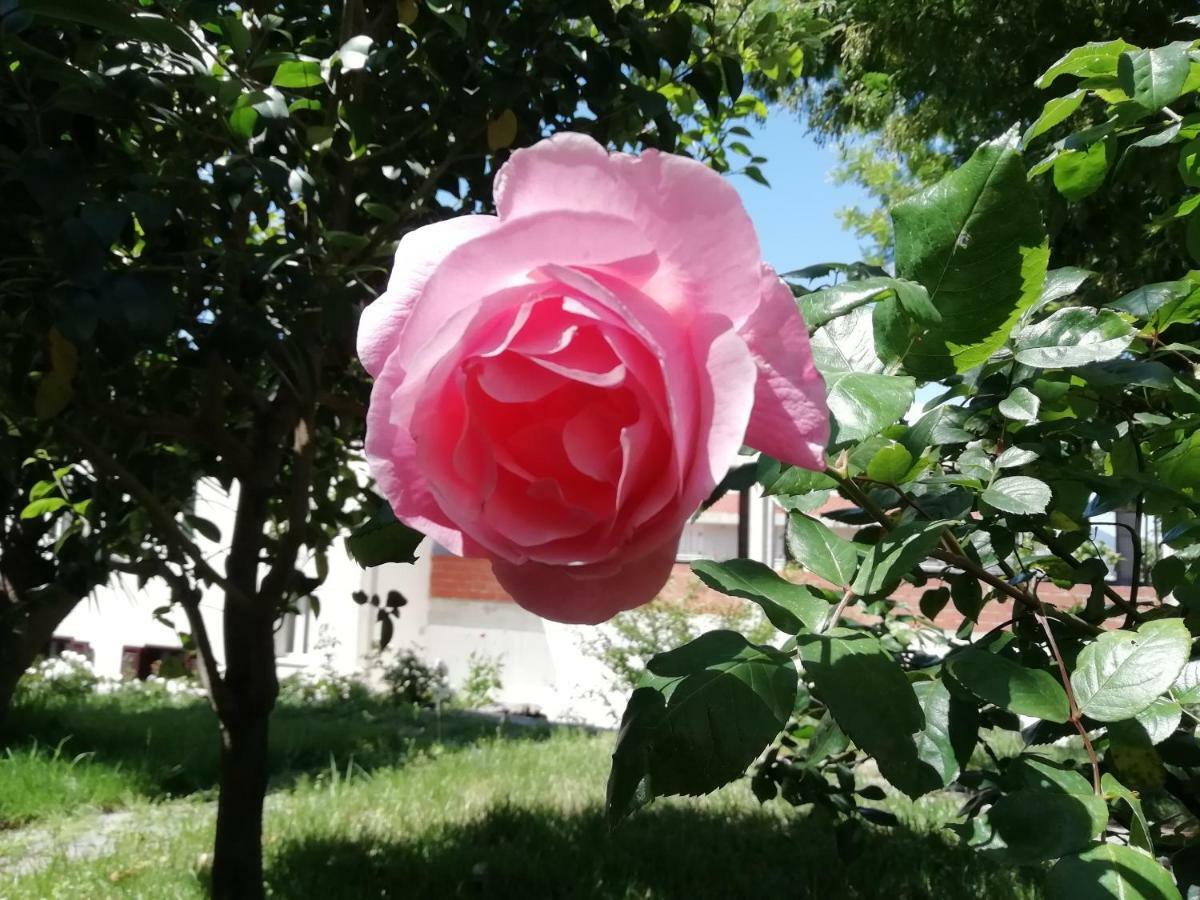 Casa Vacanze Villa Rosetta Dorgali Bagian luar foto
