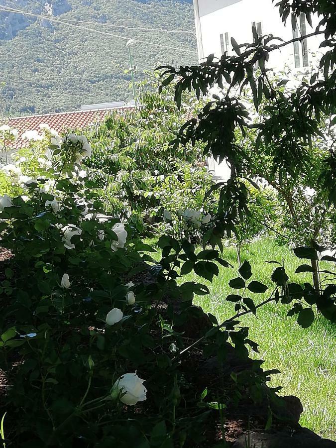 Casa Vacanze Villa Rosetta Dorgali Bagian luar foto